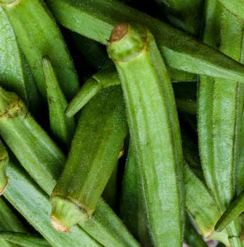 Perkins Long Pod Okra