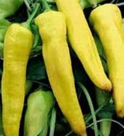 Banana Pepper (Sweet)