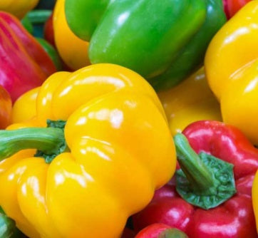 California Wonder Bell Pepper