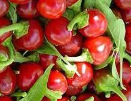 Large Red Cherry (Sweet)