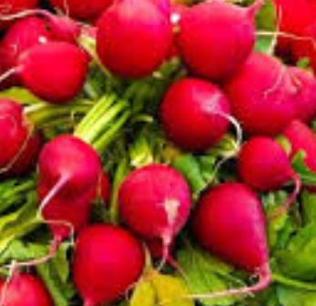 Cherry Belle Radish