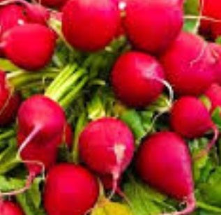 Easter Egg Radish