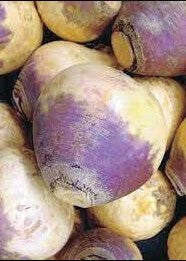 Laurentian Rutabaga