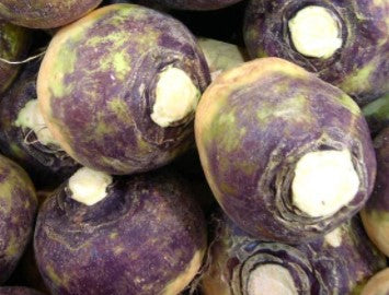 Purple Top Rutabaga