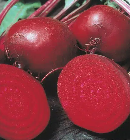 Detroit Dark Red Beet