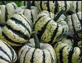 Sweet Dumpling Squash