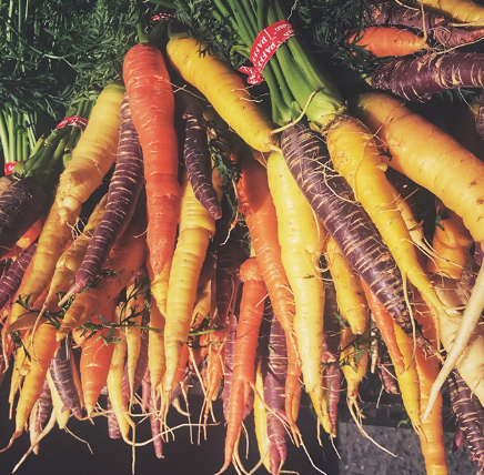 Carrots – Homestead Heart