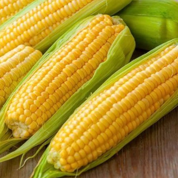 Corn – Homestead Heart
