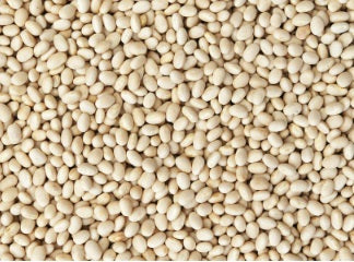 Navy Bean