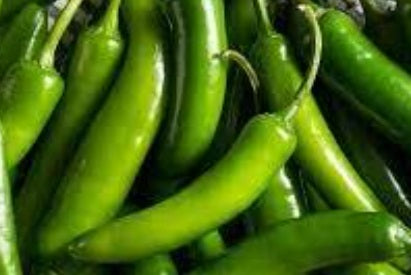 Serrano Pepper