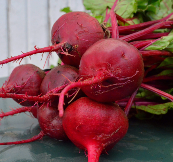 Ruby Qween Ruby Queen Beet – Homestead Heart