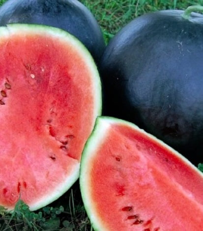 Black Diamond Watermelon Homestead Heart   WatermelonBlackDiamond 